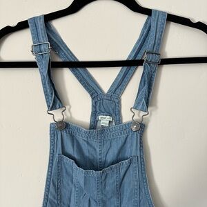 Aerie pinstripes denim overalls